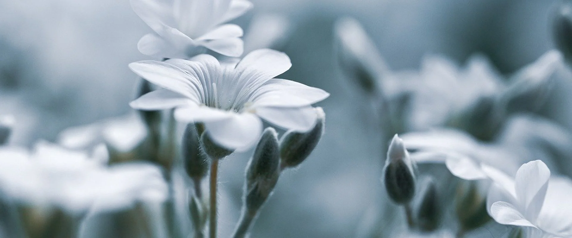 捕鱼达人PG电子